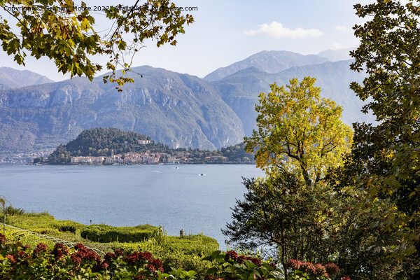 Bellagio Lake Como Picture Board by Graham Moore