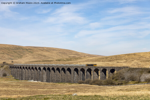 Goods train crossing Ribblehead Viaduct Picture Board by Graham Moore