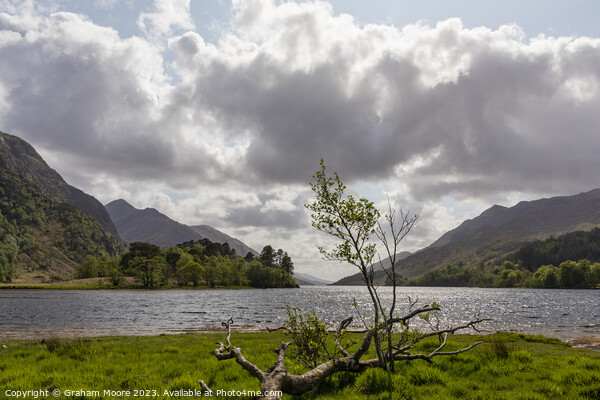 Loch Shiel Picture Board by Graham Moore