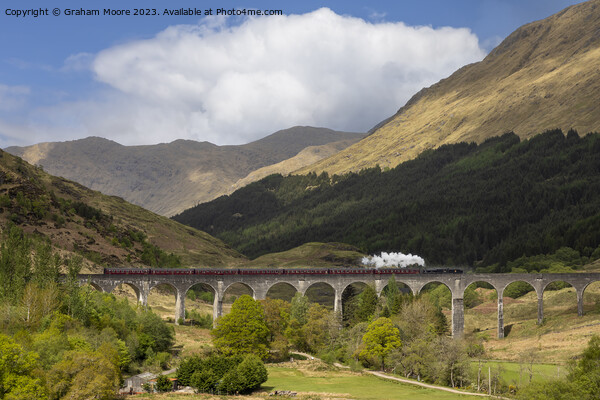 Steam train crossing Glenfinnan viaduct Picture Board by Graham Moore