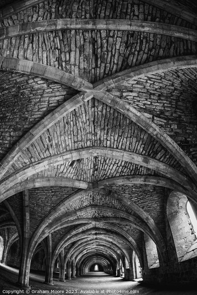 Fountains Abbey cellarium roof detail  Picture Board by Graham Moore