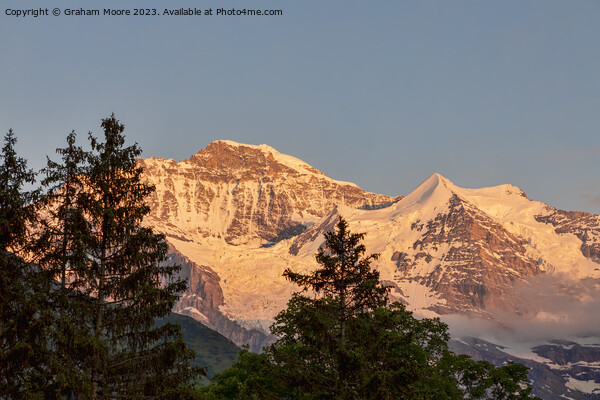 Jungfrau and Silberhorn sunset Picture Board by Graham Moore