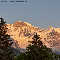 Buy canvas prints of Jungfrau and Silberhorn sunset by Graham Moore