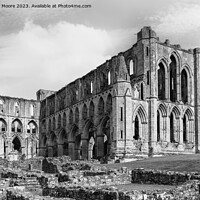 Buy canvas prints of Rievaulx Abbey monochrome by Graham Moore