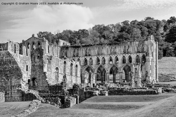 Rievaulx Abbey from the southeast monochrome Picture Board by Graham Moore