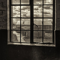 Buy canvas prints of Window on war by Graham Moore