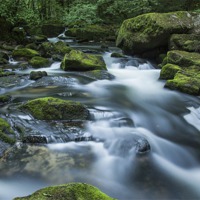 Buy canvas prints of Golitha Falls by Graham Moore