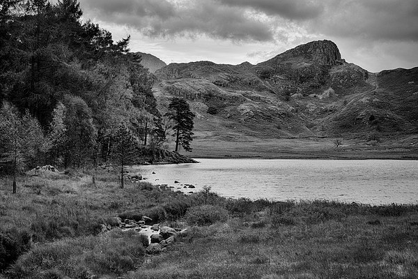 Blea Tarn Picture Board by Graham Moore