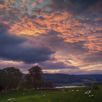 Buy canvas prints of Esthwaite Water sunset by Graham Moore