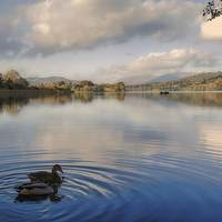 Buy canvas prints of Esthwaite Water by Graham Moore