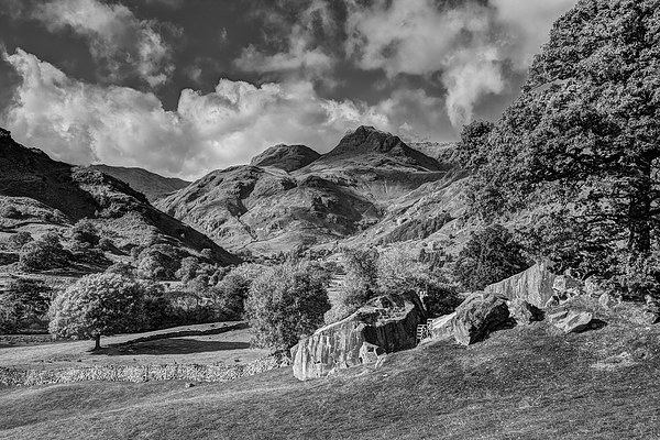 Langdale Pikes from Copt Howe Picture Board by Graham Moore