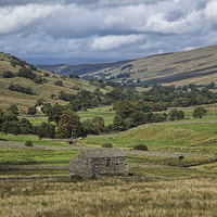 Buy canvas prints of Swaledale by Graham Moore