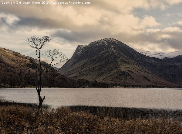 The tree, Buttermere Picture Board by Graham Moore