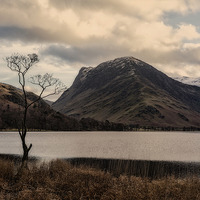 Buy canvas prints of The tree, Buttermere by Graham Moore