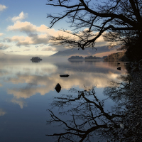 Buy canvas prints of Derwentwater trees by Graham Moore
