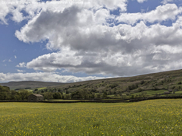 Muker meadows big sky Picture Board by Graham Moore