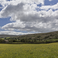 Buy canvas prints of Muker meadows big sky by Graham Moore