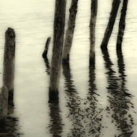 Buy canvas prints of Wooden pilings by Graham Moore