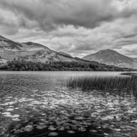 Buy canvas prints of Loweswater by Graham Moore