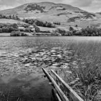 Buy canvas prints of Loweswater by Graham Moore