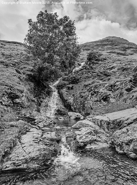 Comb Beck Picture Board by Graham Moore