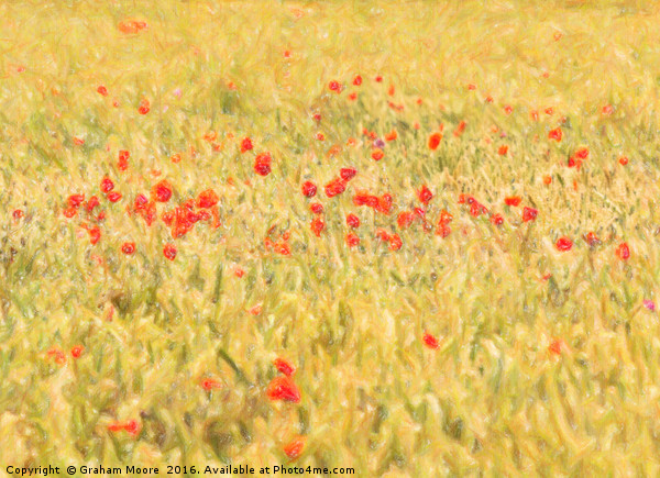 Poppy field abstract Picture Board by Graham Moore