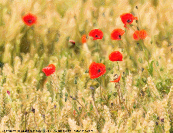Group of Poppies abstract Picture Board by Graham Moore