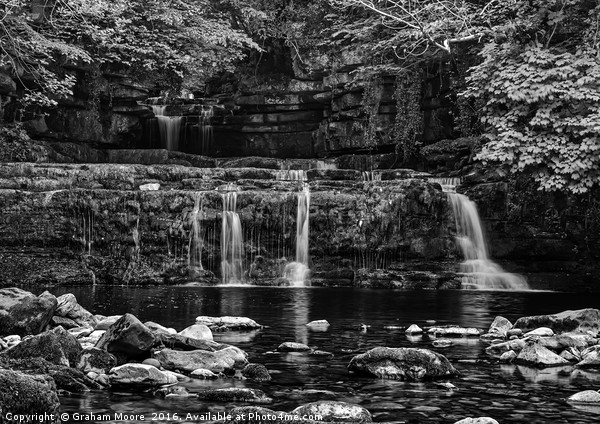 Cotter Force Picture Board by Graham Moore