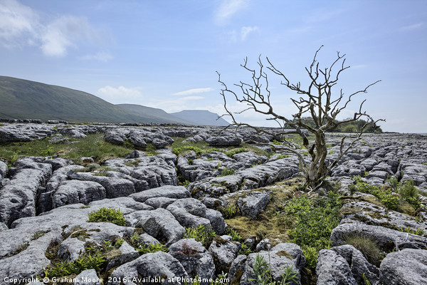 Ingleborough Picture Board by Graham Moore