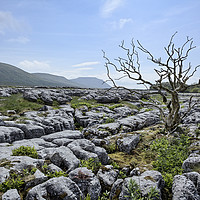 Buy canvas prints of Ingleborough by Graham Moore