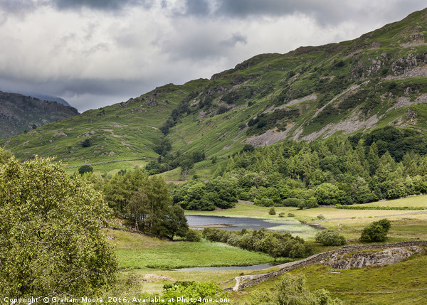 Little Langdale Tarn Picture Board by Graham Moore
