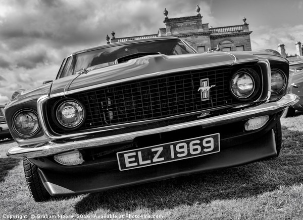 Mustang front Picture Board by Graham Moore
