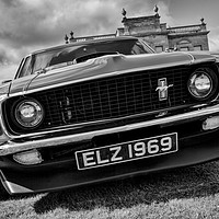 Buy canvas prints of Mustang front by Graham Moore