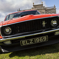 Buy canvas prints of Mustang front by Graham Moore