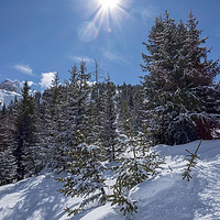 Buy canvas prints of Above La Tania by Graham Moore