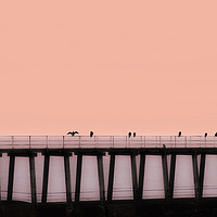Buy canvas prints of Sea birds on pier by Graham Moore