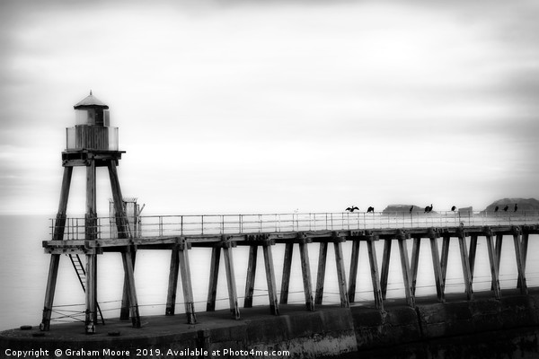 Whitby harbour pier monochrome Picture Board by Graham Moore