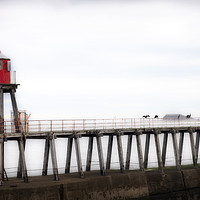 Buy canvas prints of Whitby harbour pier by Graham Moore