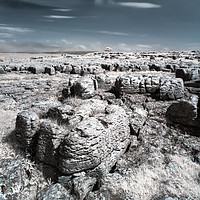 Buy canvas prints of Limestone pavement and lone tree infrared by Graham Moore