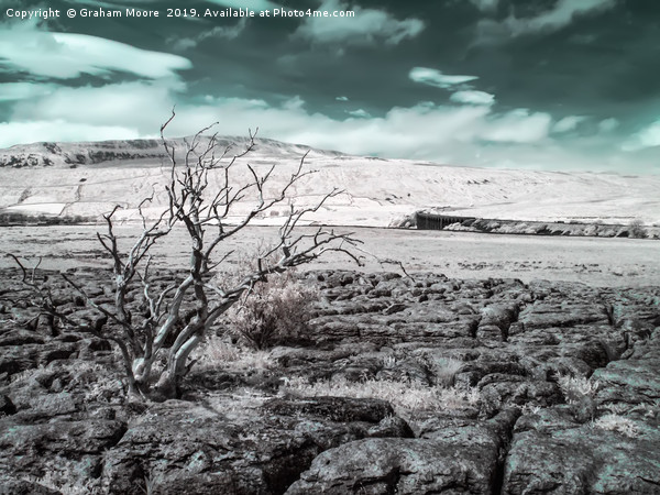 Ribblehead Viaduct infrared Picture Board by Graham Moore