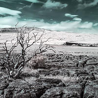 Buy canvas prints of Ribblehead Viaduct infrared by Graham Moore