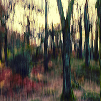 Buy canvas prints of Motion blur trees abstract by Graham Moore