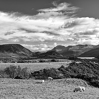 Buy canvas prints of Ennerdale monochrome by Graham Moore