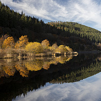 Buy canvas prints of Bassenthwaite and autumn trees by Graham Moore