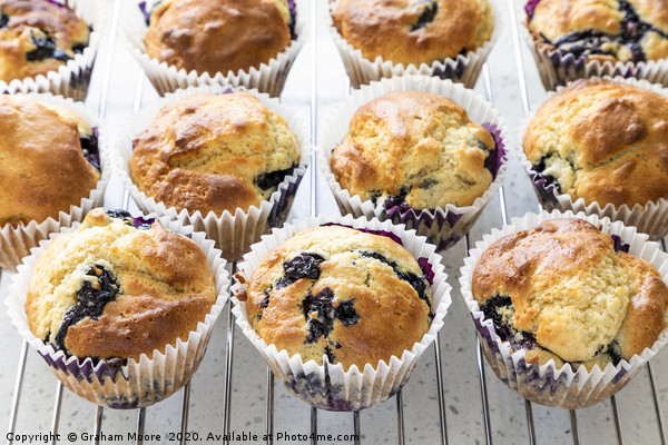 Fresh home baked blueberry muffins Picture Board by Graham Moore