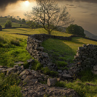 Buy canvas prints of Swaledale by Graham Moore