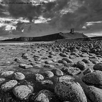 Buy canvas prints of Dunstanburgh Castle from the north monochrome by Graham Moore