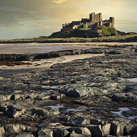Buy canvas prints of Bamburgh Castle from rocky beach by Graham Moore