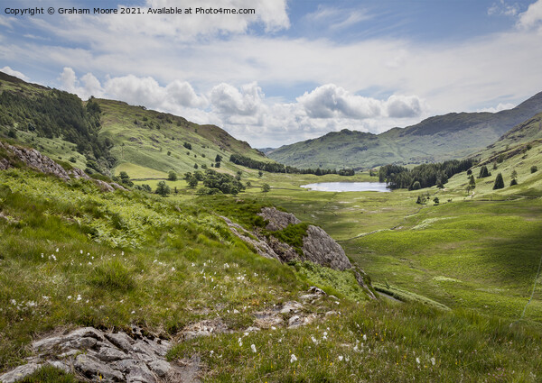 Blea Tarn from Side Pike Picture Board by Graham Moore