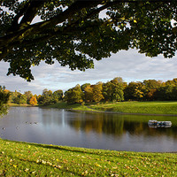 Buy canvas prints of Sefton Park boating lake by Paul Farrell Photography